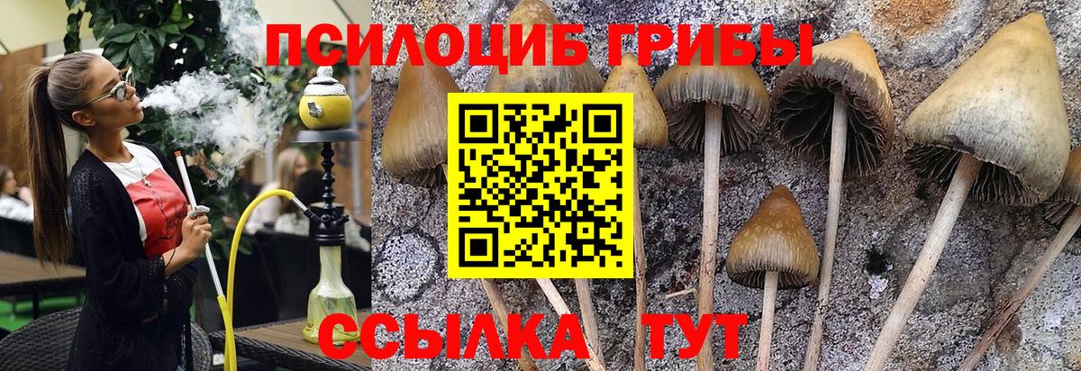 Псилоцибиновые грибы GOLDEN TEACHER Заволжье