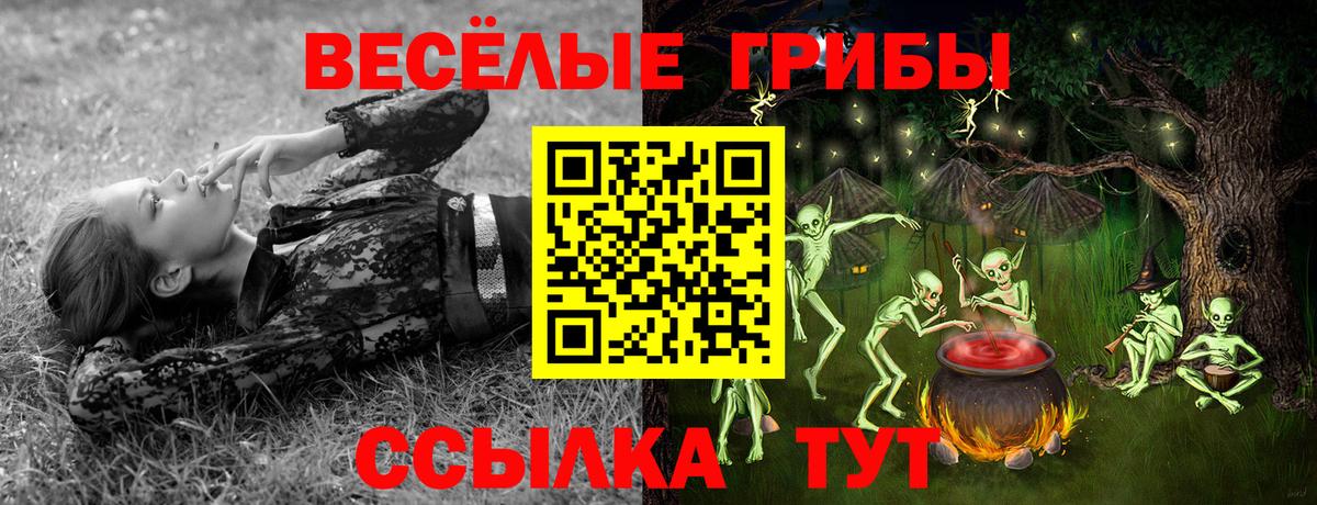 Заволжье  Псилоцибиновые грибы MAGIC MUSHROOMS  Вход с VPN 